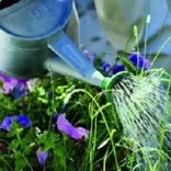 Landscaping USA