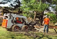Jamestown Tree Care Masters