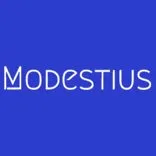 Modestius Website Services