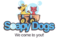 Soapy Dogs