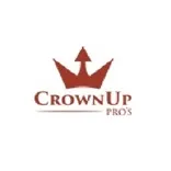 CrownUp Pros | Chimney Sweep Denver