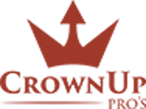 CrownUp Pros | Chimney Sweep Denver