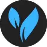 BlueVine Digital Marketing Solutions