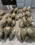 Strictly Top Weed