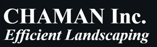 CHAMAN INC