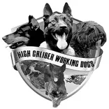 High Caliber Working Dog Training