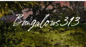 Bungalows 313