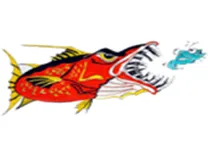 North Myrtle Beach Fishing Charters