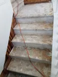 BCS Water Restoration