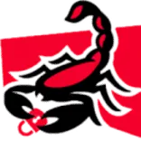 Scorpion Locksmith Houston