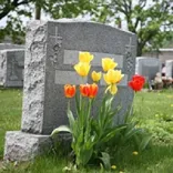 Donehoo-Lewis Funeral Home