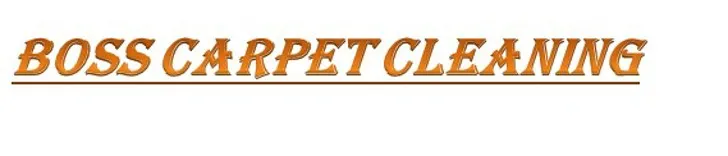 Boss Carpet Cleaning