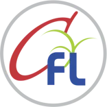 Chintamani Finlease Ltd.