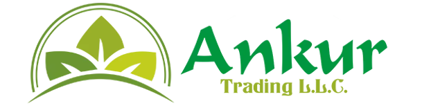 Ankur Trading LLC