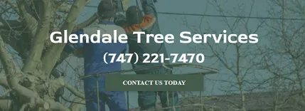Glendale Tree Services