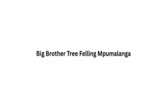 Big Brother Tree Felling Mpumalanga