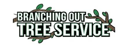 Oak Tree Service and Landscaping