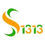 Solutions 1313