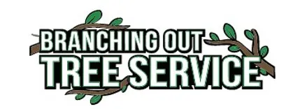 Tree Trimming & Pruning Nassau County