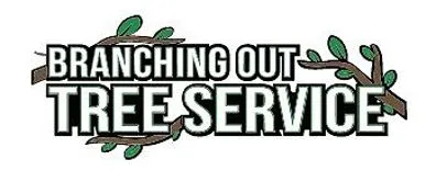 Ozone Park Bayside Pruning & Removal