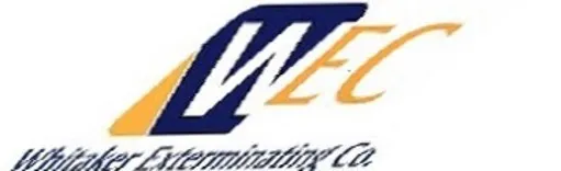 PWS Roof Rats Pest Control Exterminator