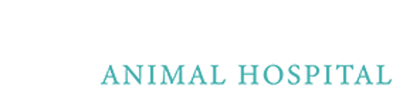 Hot Springs Animal Hospital