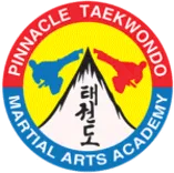 Pinnacle martial arts academy