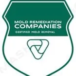Lee’s Summit Mold Remediation Pros