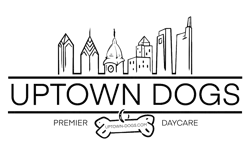 Uptown Dogs