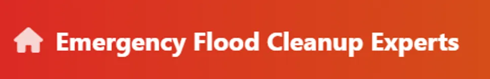 Water Damage Restoration
