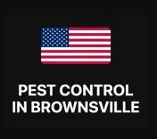 Pest Control in Brownsville