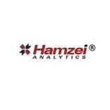 Hamzei Analytics LLC