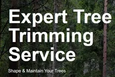 Rosas Tree Service of Fairfield