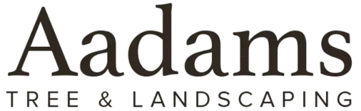 Aadams Tree Service, Trimming, & Stump Grinding Woodinville Wa