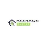 Mold Removal Tacomawa