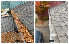Portland Gutter Pros