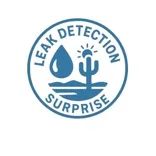 Leak Detection Surprise