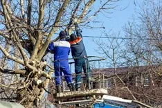 Cottonwood Heights Tree Services