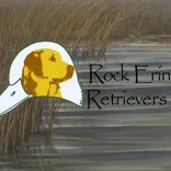 RockErin Kennels