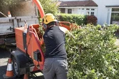Riviera Beach Tree Services