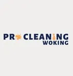PRO CLEANING WOKING
