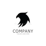 Anees cleaning company
