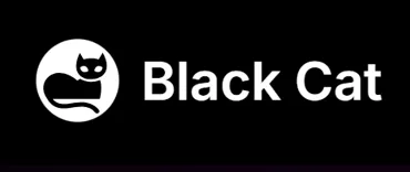 Black Cat Website Design LLC