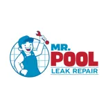 Mr. Pool Leak Repair