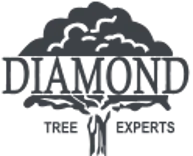 Diamond Tree Experts