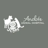 Anclote Animal Hospital
