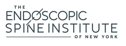 Endoscopic Spine Institute of New York