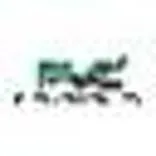 Flex v capital ltd