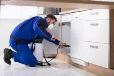 Rooftop Exterminating | Pest control service in Brooklyn NY