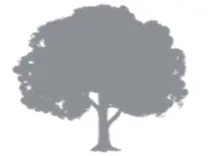 Park Orthodontics